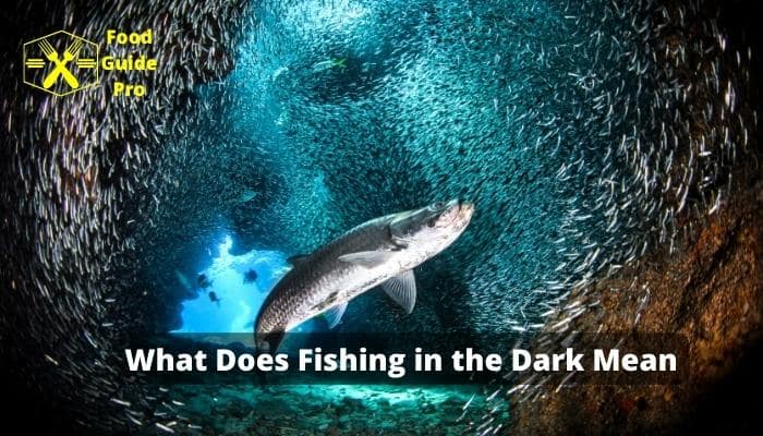What Does Fishing In The Dark Mean Understanding The Metaphor
