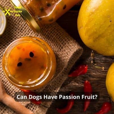 Can Dogs Have Passion Fruit? A Comprehensive Guide